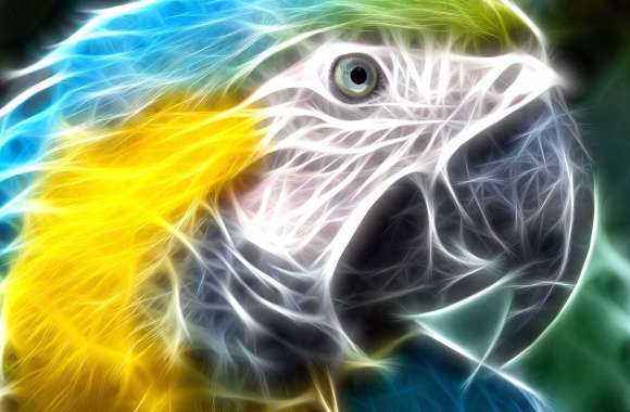 Digital parrot wallpapers hd quality