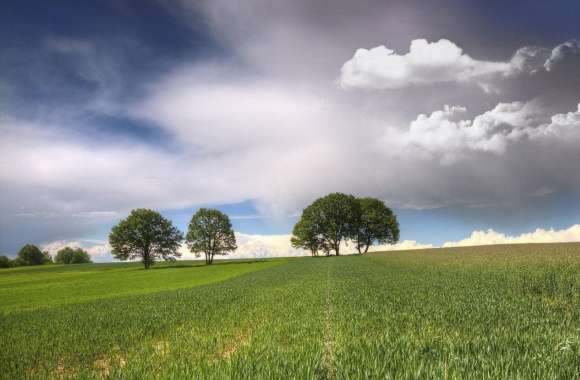 Trees On Fields Clouds wallpapers hd quality