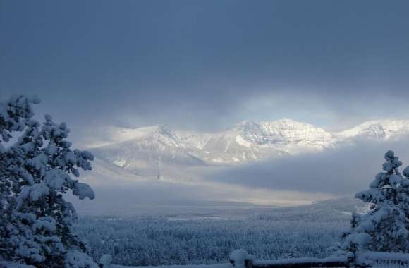 Banff Springs Winter
