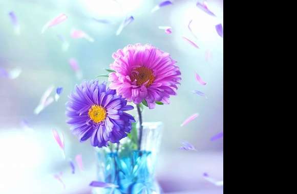 Colorful Flowers HD