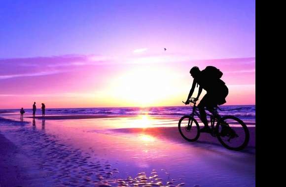 Sea sunset biker