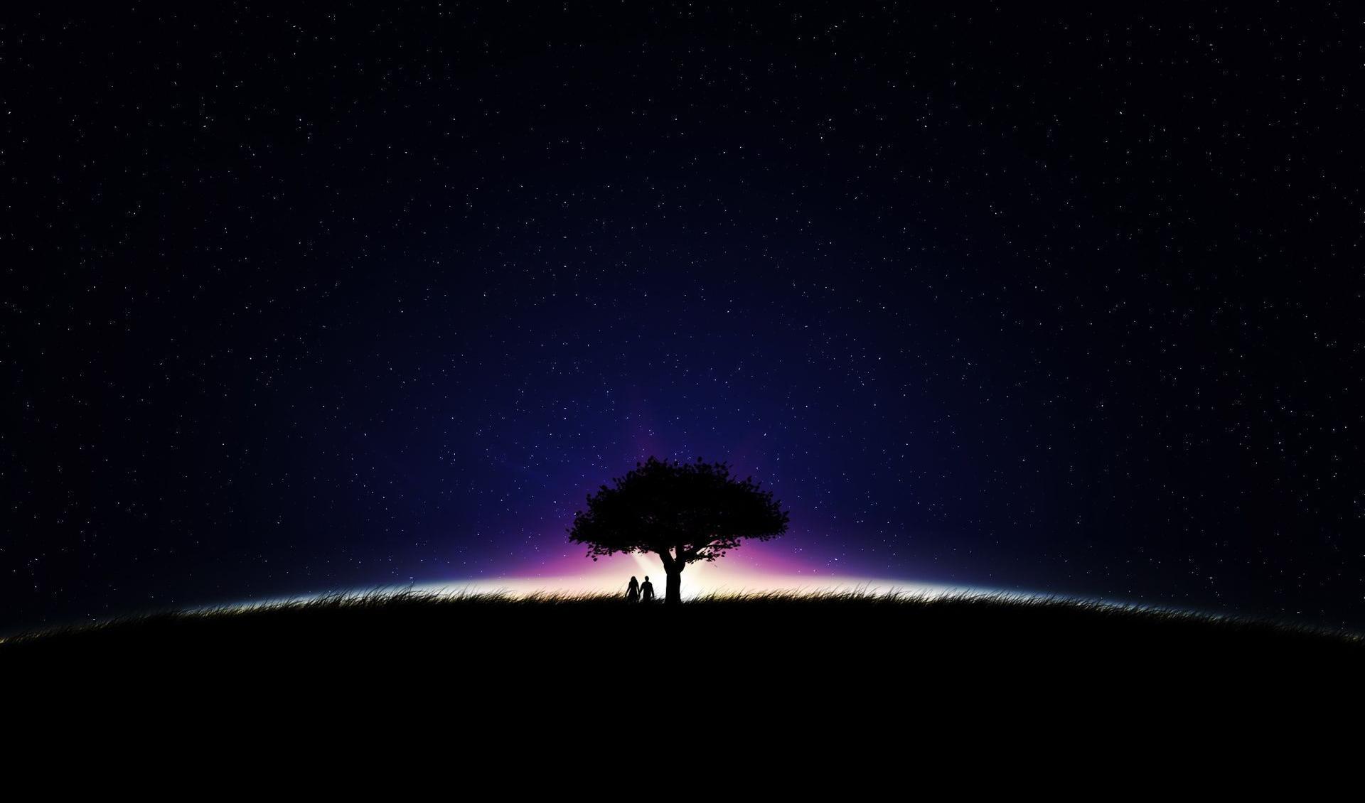 Couple under a tree on a glowing field wallpapers HD quality