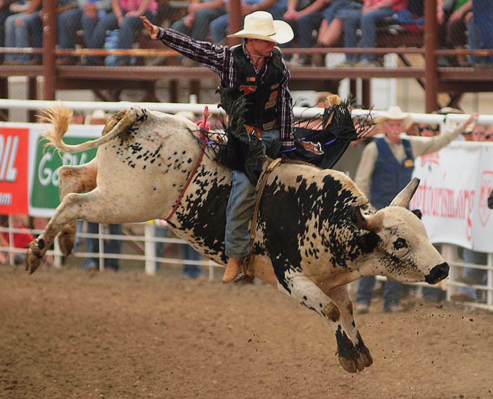 Rodeo at 320 x 480 iPhone size wallpapers HD quality