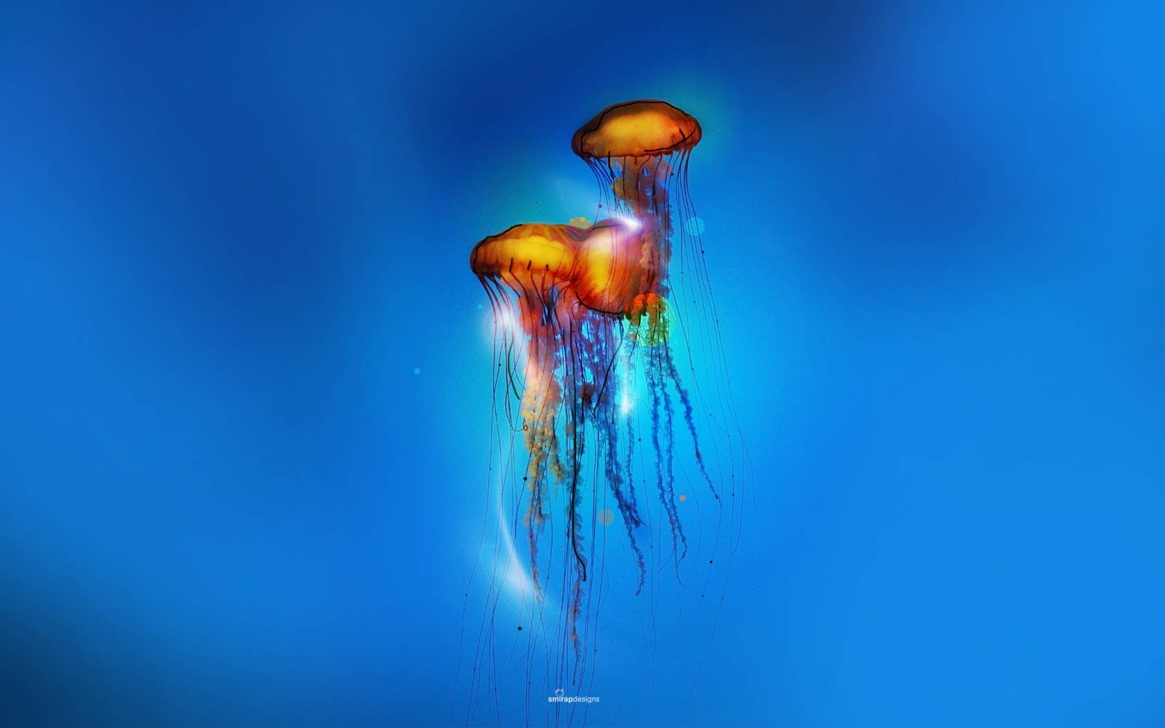 Медузы скачать