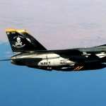 Grumman F-14 Tomcat high definition wallpapers