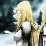 Claymore wallpapers for android