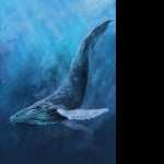 Whale free wallpapers