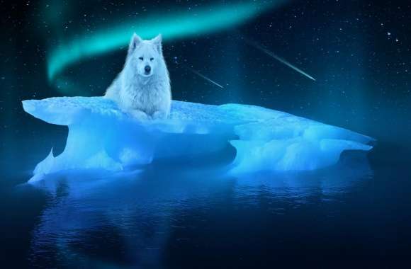 Arctic Wolf wallpapers hd quality