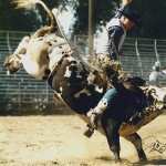 Rodeo hd photos