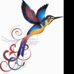 Colibri hd wallpaper