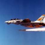 Grumman F-14 Tomcat download
