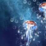 Jellyfish free download