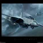 Grumman F-14 Tomcat free download