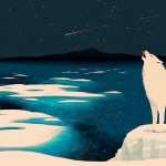 Arctic Wolf new wallpapers