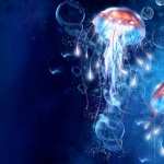 Jellyfish desktop wallpaper