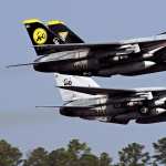 Grumman F-14 Tomcat photos