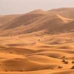 Desert image