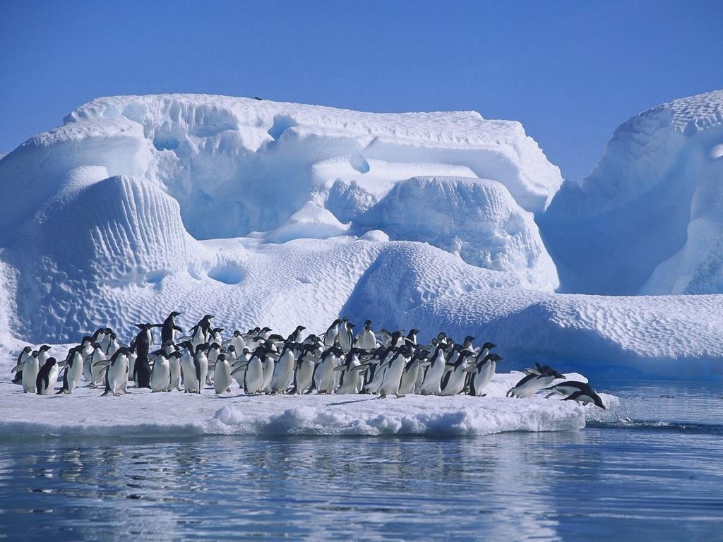 Antarctica at 640 x 960 iPhone 4 size wallpapers HD quality