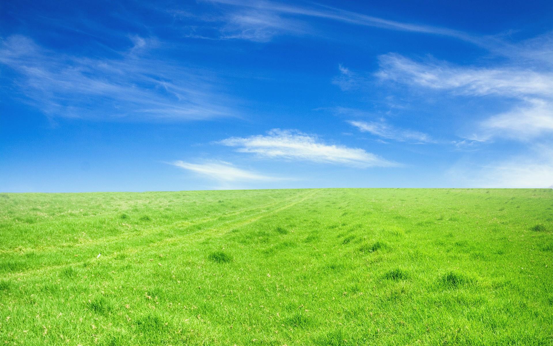Field at 1024 x 1024 iPad size wallpapers HD quality