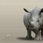 Rhino hd desktop