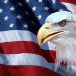 American Eagle Day PC wallpapers