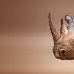 Rhino images