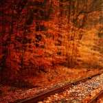 Autumn wallpapers hd