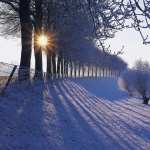 Winter download wallpaper