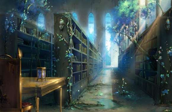 Abandoned library wallpapers hd quality