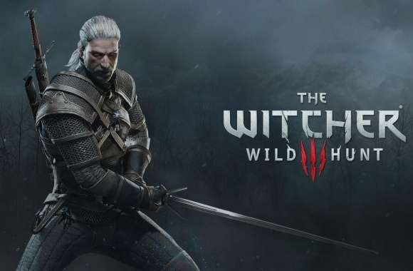 The Witcher 3 wallpapers hd quality