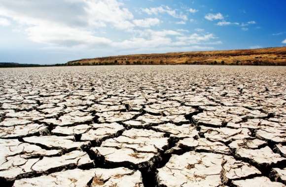 World Day to Combat Desertification and Drought