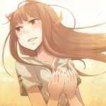 Spice And Wolf PC wallpapers