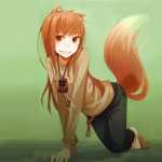 Spice And Wolf background