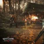 The Witcher 3 hd