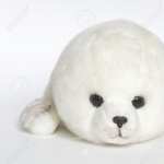 White Seal hd desktop