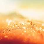 Orange Abstract new wallpapers