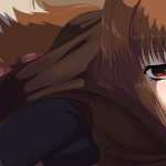 Spice And Wolf high definition photo