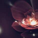 Abstract Flower hd pics