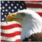 American Eagle Day wallpaper