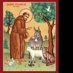 Feast of St Francis of Assisi hd desktop