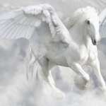 Pegasus background