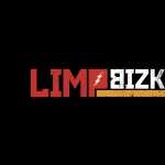 Limp Bizkit 2016