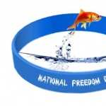 National Freedom Day hd wallpaper