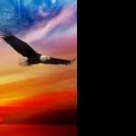 American Eagle Day wallpapers for android