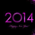 New Year 2014 photo
