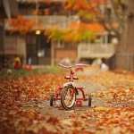 Autumn high definition wallpapers