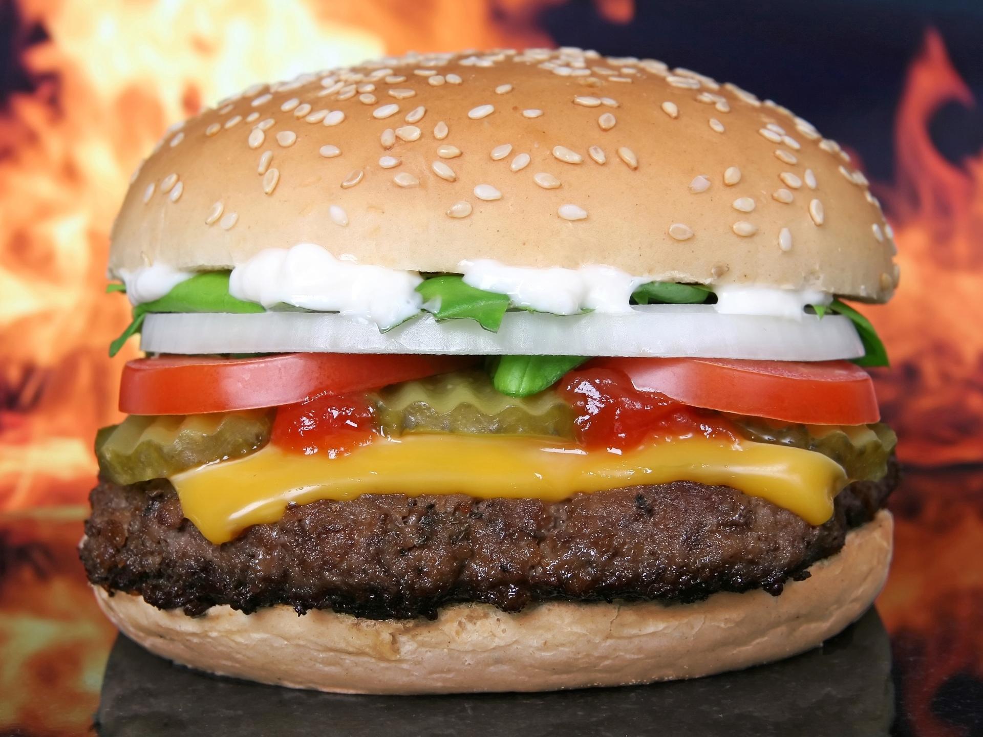 Burger Wallpaper HD Download