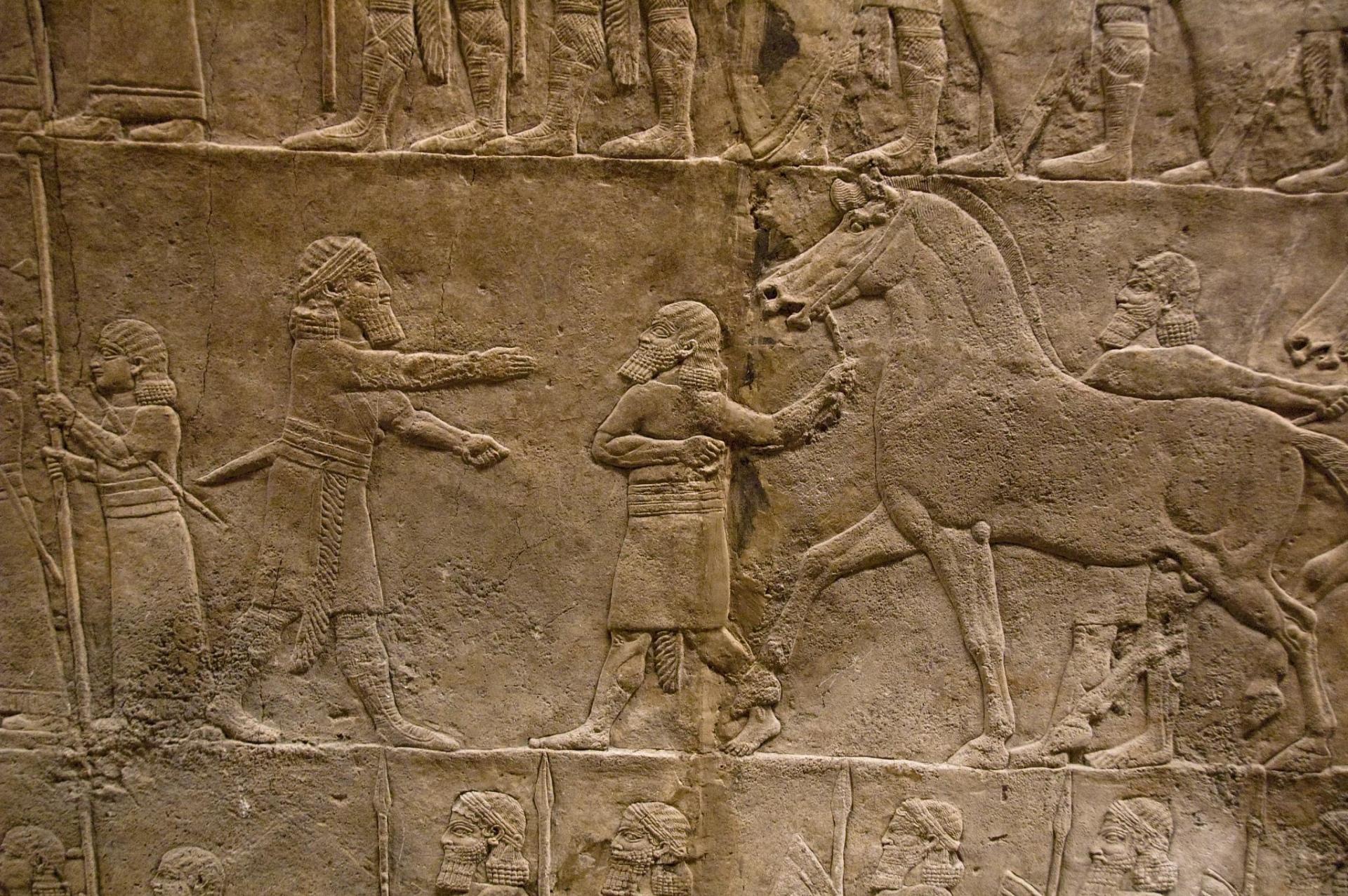 Assyria Lion Hunts at 640 x 1136 iPhone 5 size wallpapers HD quality