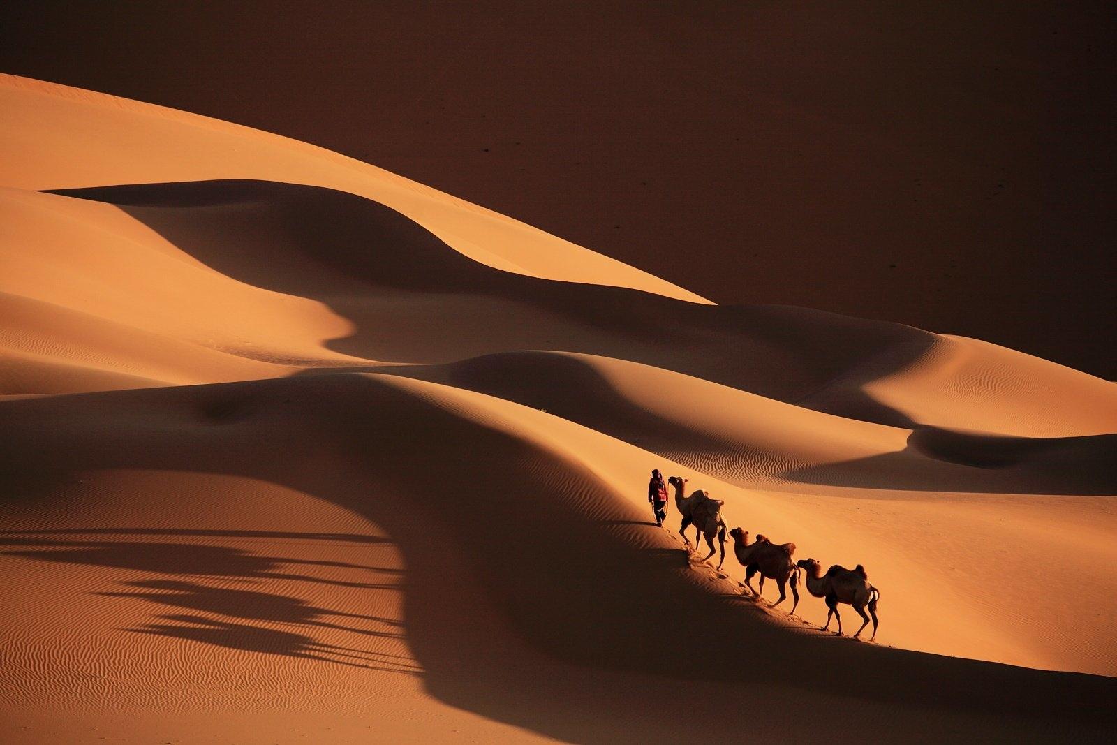Пустыня дюны барханы караван верблюды бесплатно