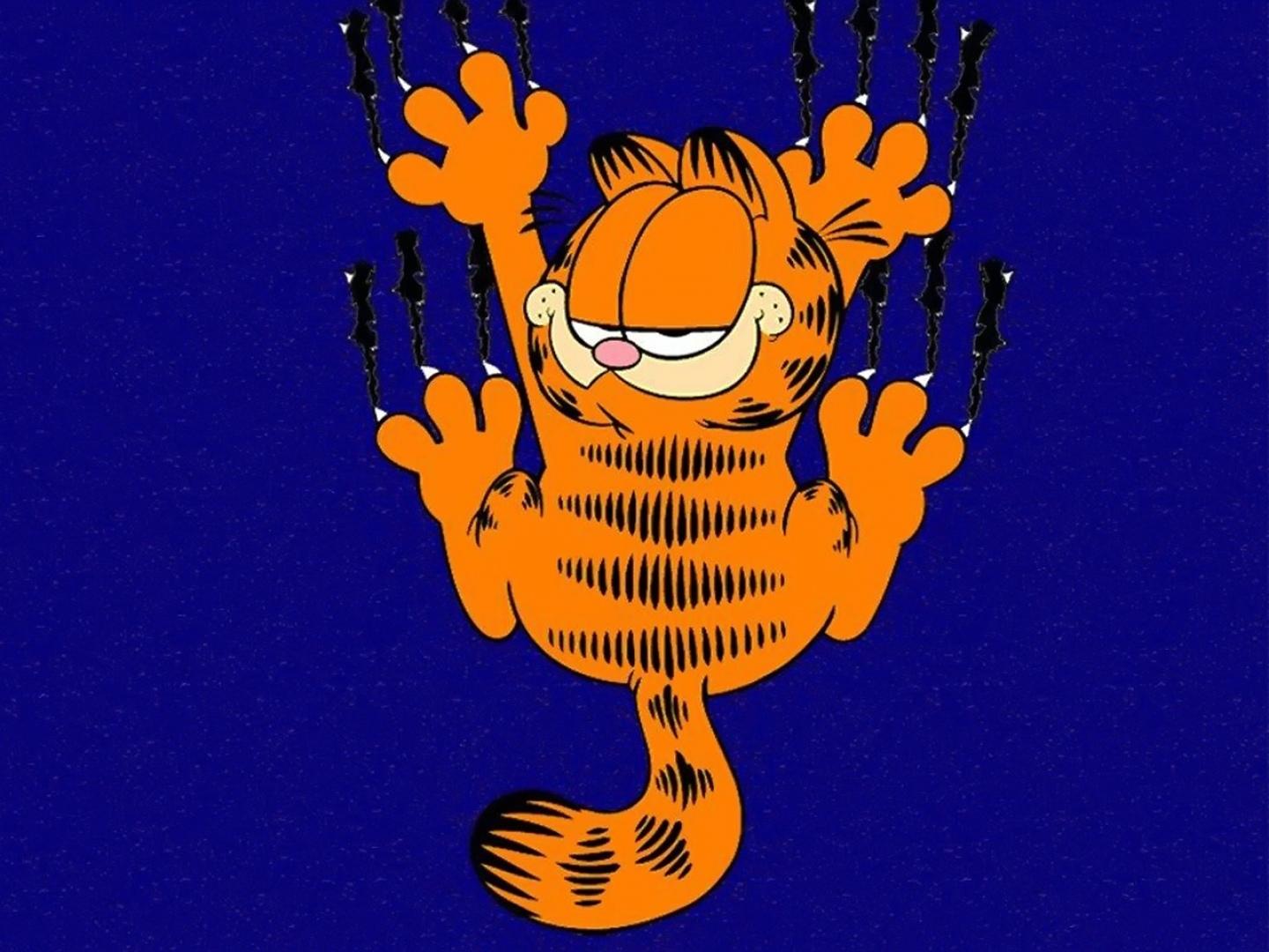 Garfield at 2048 x 2048 iPad size wallpapers HD quality